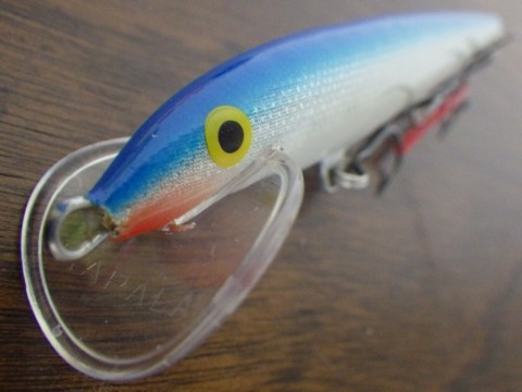 wbuyn9fxkz5r8nc6i5no_480_480-063dd322.jpg