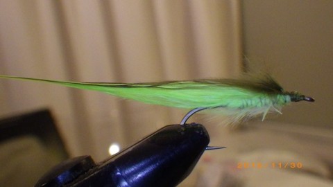 wcaaxztcvzt8bc7mussv_480_480-232f0e00.jpg