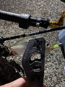 wcmauheii7wg82yrwd69_361_480-f7d09a24.jpg