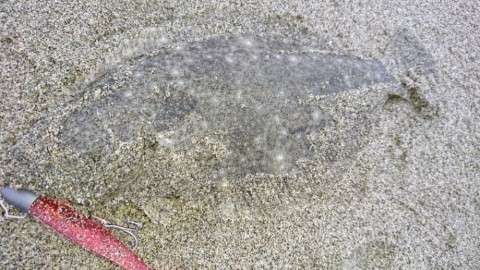 wcwyd5utjk25oo9hsc52_920_518-a0857f08.jpg