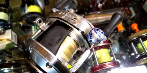 wd4z388n7vh745dcd4co_480_480-196e02cf.jpg