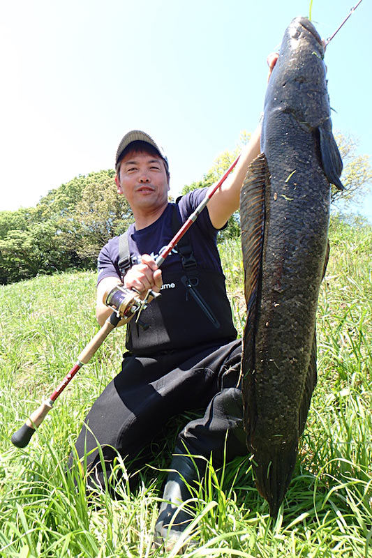 Fishman 動画upしました 釣りは九州のライギョ編