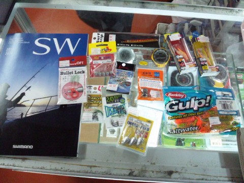 wdcn88burysw446hr87x_480_480-88e6a14b.jpg