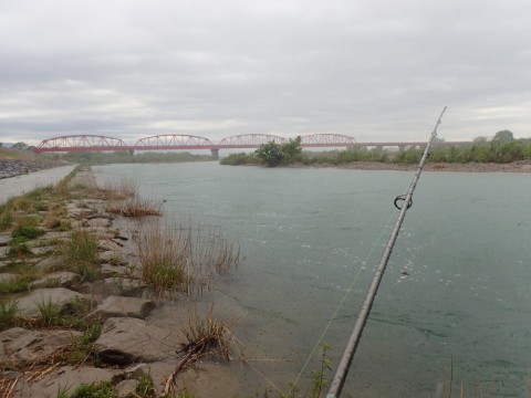 wdgzwawsfkof52xg45m2_480_480-9176d001.jpg