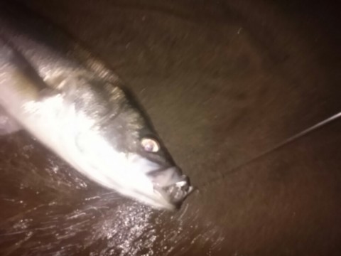 wdid4k8b4sh24uzyjr5s_920_690-59e42de7.jpg