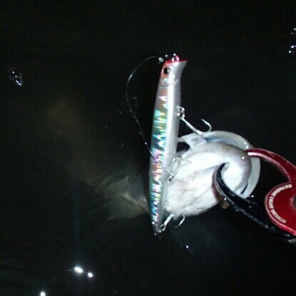 wdjetizbcf39masv46f2_415_415-571cf2e2.jpg