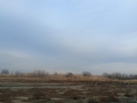 wdrdiyjrbvaofb47vpca_480_480-8d08e92f.jpg