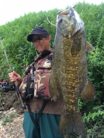 wdvn9nd8oacp3sekde4j_480_480-f7b33e99.jpg