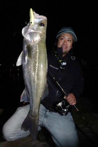 wdzda4y28cv7jigan45c_480_480-03051079.jpg