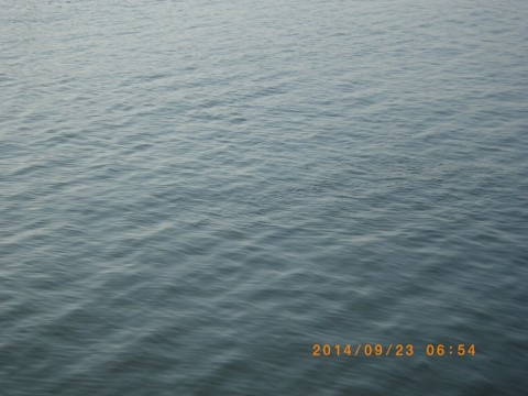 we69ad4c42t6sewudwfp_480_480-2fabfdc3.jpg