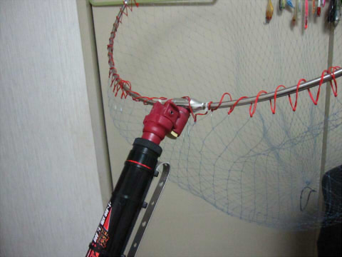 wedvbez8bz35nn3okuji-77d695f3.jpg