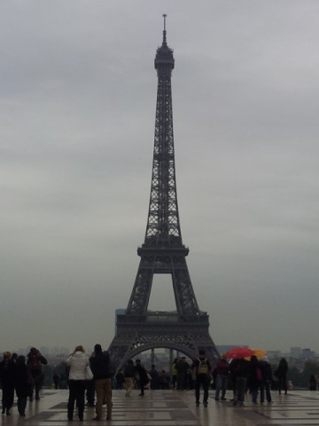 wefspcrdya2djy67v37m_480_480-f0dbf54b.jpg