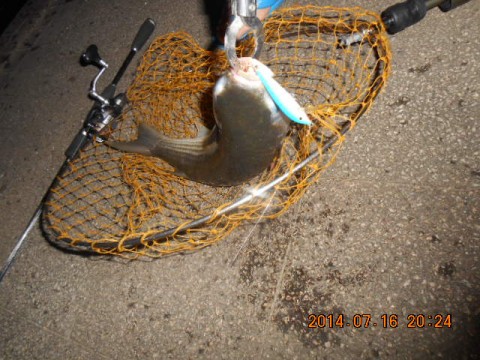 wekmn9m38ycrddzv6c6o_480_480-f6a6f605.jpg