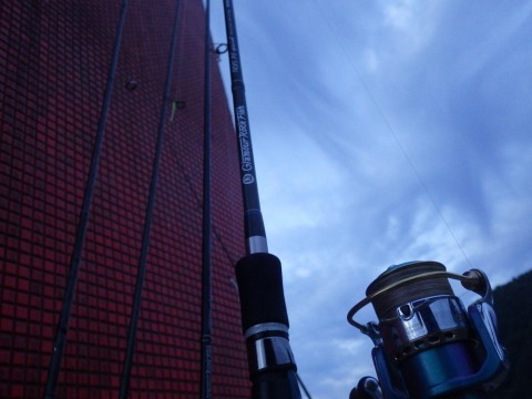 wem9dfwbwkb65ofdhb8b_480_480-23384248.jpg