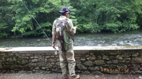wfasbhcc4hywabjt2a2g_480_480-94ac515b.jpg