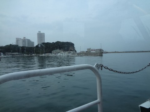 wfcnubmxmze8amdauoj6_480_480-fcb9fd8b.jpg