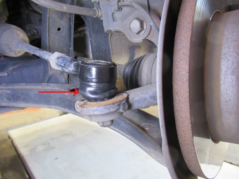 wfkrerjd3jervjfdf6pf_480_480-8825ed04.jpg