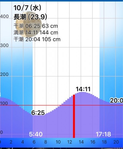 wfypjtmcbr6j3jbn3rtb_764_920-1f517c25.jpg