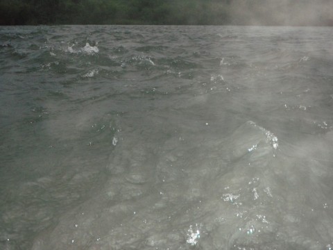 wfyvax92v2u8w2s6uhsj_480_480-432903d1.jpg