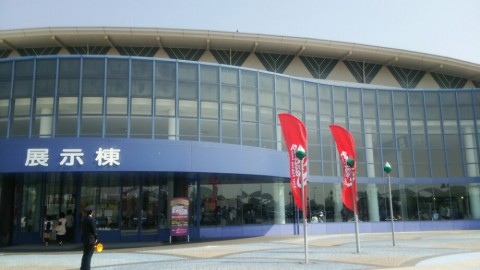 wg27fxkag6z85748d4gx_920_518-5259da23.jpg