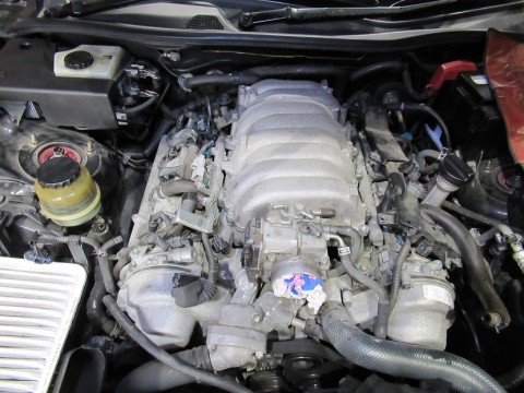 wgpoexttfcexma95ywzz_480_480-fd88f54f.jpg