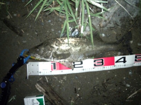 wgru8ybseatg5he6be7m_640_480-b19ded64.jpg