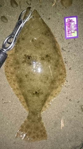 wgtgivdcsjddrmcaxo6d_518_920-c8c358db.jpg