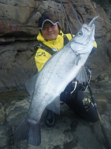 wh5gnk44jwuooxzhagun_480_480-2467f056.jpg