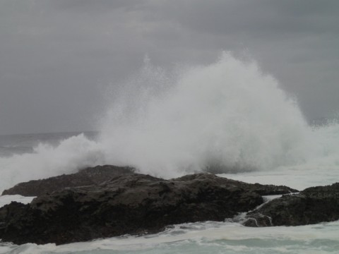 wh7epc73pjeyj3er3ymg_480_480-c7c7ae37.jpg