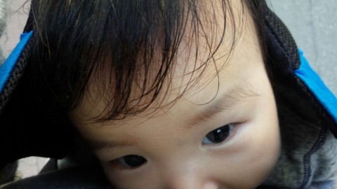 whj5ojk853eohptaykw4_920_518-78095c57.jpg