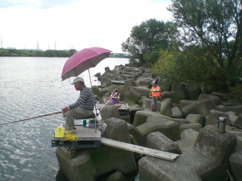 whtodtbrziagk5pbu5mh_480_480-9625d05b.jpg