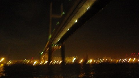 whvr6zg4usy7e7f4s2oi_480_480-f0961cd1.jpg
