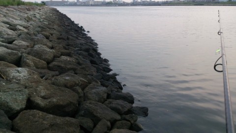 wi4uc6athty699b9z7as_480_480-a0389d62.jpg