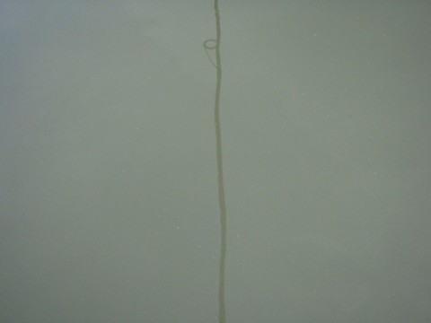 wic4b8gu2zjkna8wvuxe_480_480-186da590.jpg