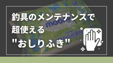 wigakeegznfv6nmd2syp_480_480-74cc93a5.jpg