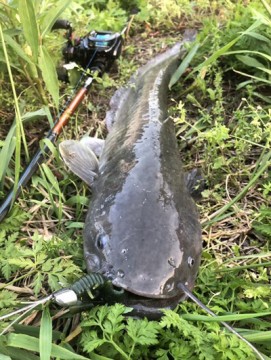 wipwmikajwrhv8jtycor_361_480-6bf53646.jpg