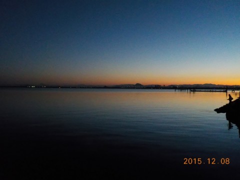 wiy8zzvsg7uhy38mpy65_480_480-dd3fa695.jpg