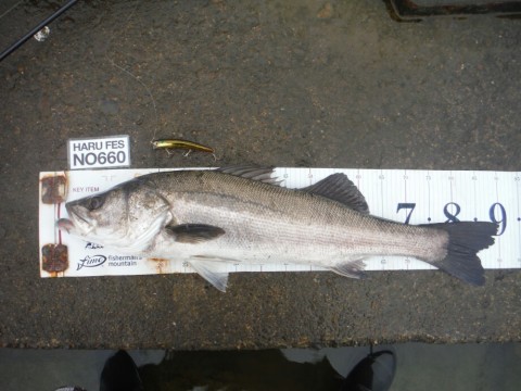 wj47gww35xjzs667ock4_920_690-3d702935.jpg