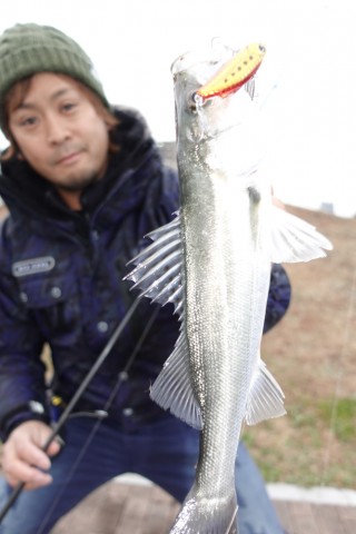 wj4y3mevj8hx298rabn8_480_480-a1f53bbf.jpg