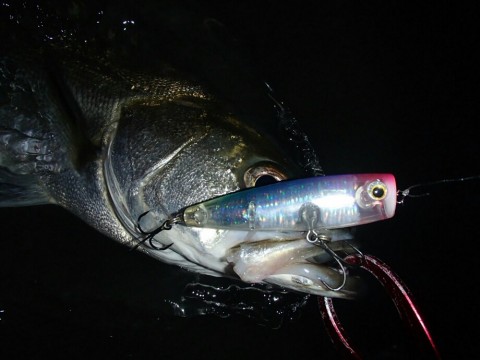 wj96n9kfd6iepux33vp9_920_690-47b09f4e.jpg