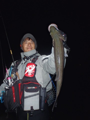 wj9w8x3d3crry38hhdno_480_480-bc680f46.jpg
