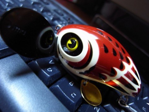 wjdw9w963sofp3o9bt5a_480_480-36c5749d.jpg