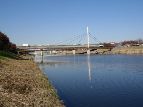 wjvdr6sjjec8zjxyzrpr_480_480-71c5f696.jpg
