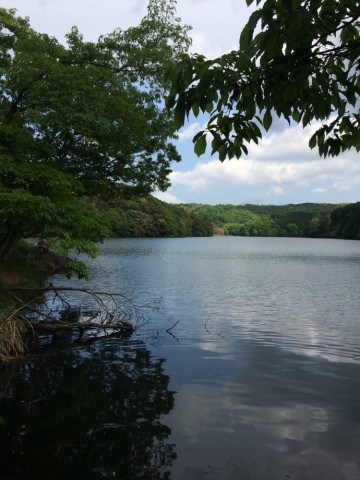 wkautujtgnnpxr8dzrv6_690_920-7aa13b49.jpg