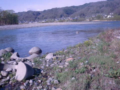 wkcuco7k62b92b8idnm8_480_480-25d9b716.jpg