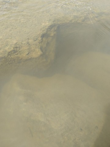 wkj7ozyhtupczrou3bxh_480_480-1875771e.jpg