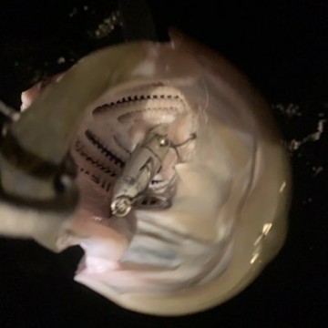 wks5zjrwfcrhtza6hyhk_400_400-4f96192b.jpg