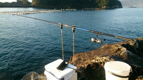 wkspi5pr2jnch245kwxx_920_517-6029c8d2.jpg