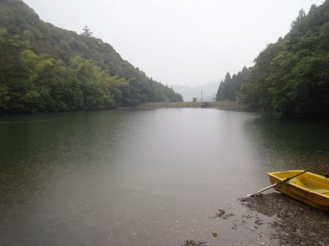 wkvw2xc39uefdikp3cxy_480_480-525c7fec.jpg