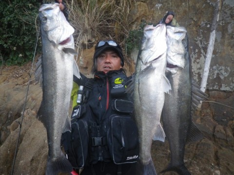 wky2p9ydzjcomf5mmxce_480_480-7cce16c1.jpg